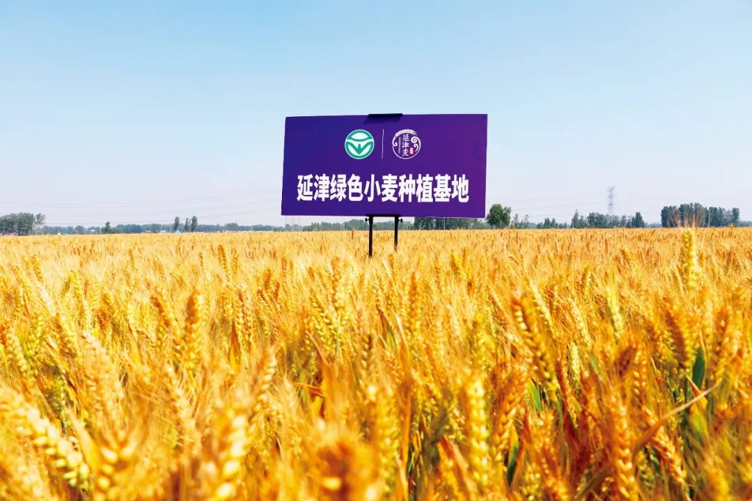 茅台镇的白酒跟其他地方有啥不同,茅台镇的酒和茅台酒有什么区别