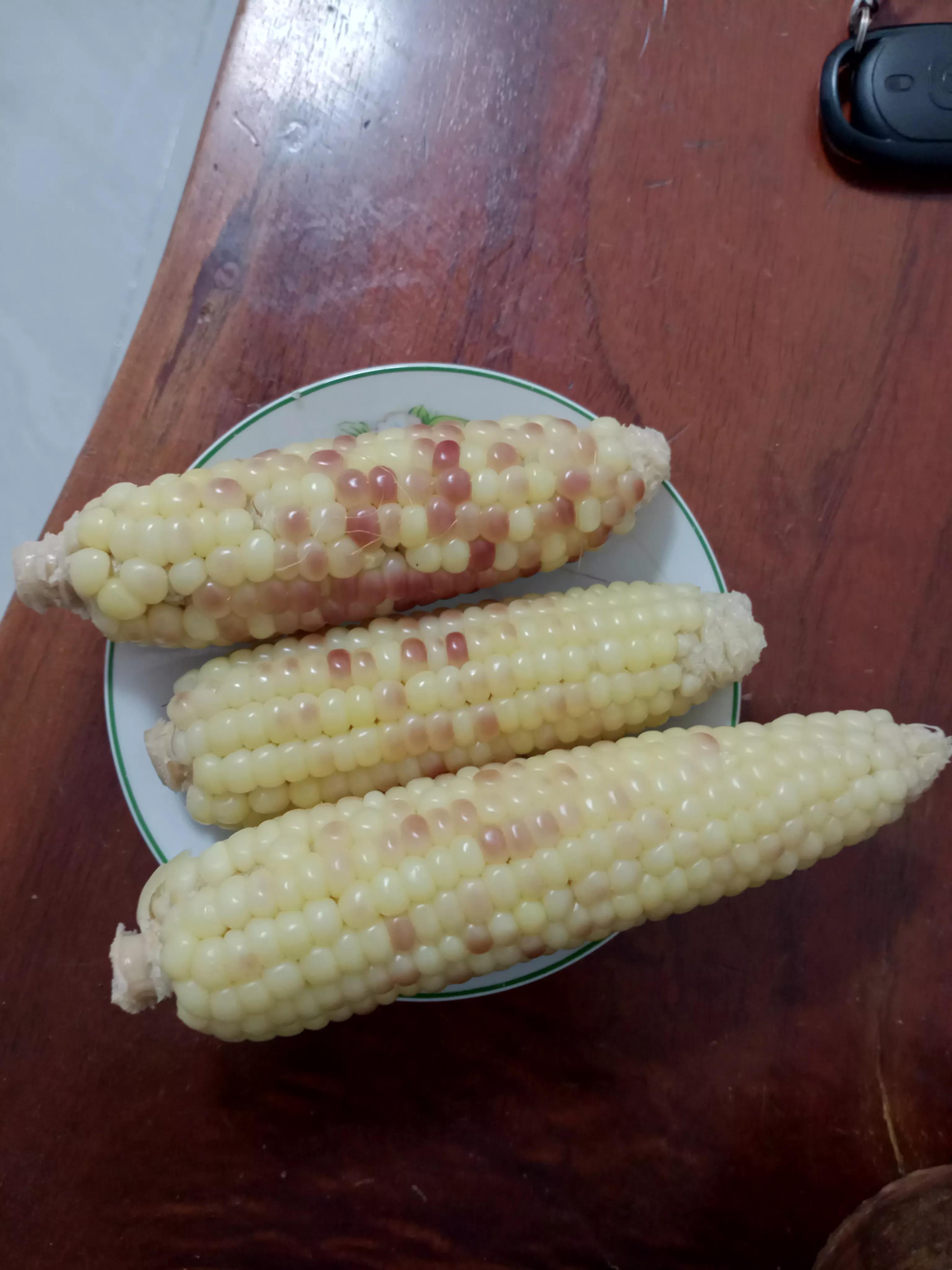 21天减肥计划表详细,21天减肥计划表过程