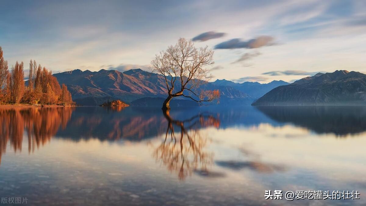 你被别人删除微信会有什么提示,你被好友删除了有提示吗