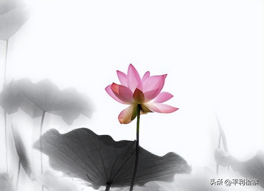 高中语文常识积累大全,中考语文文化常识总汇