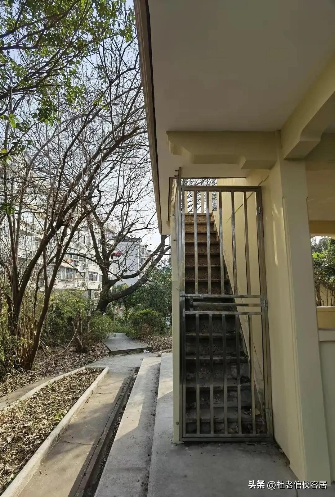 如风往事之——漫谈油菜花开与“白塔”