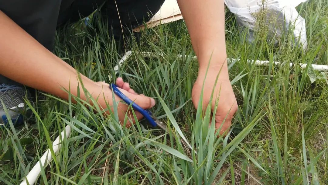 全区首笔！好生态能“变现”空气也可以抵押*款贷**