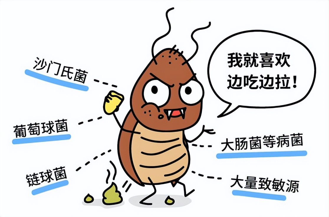 家里很多蟑螂用什么方法最好,家里出现蟑螂千万不要怕
