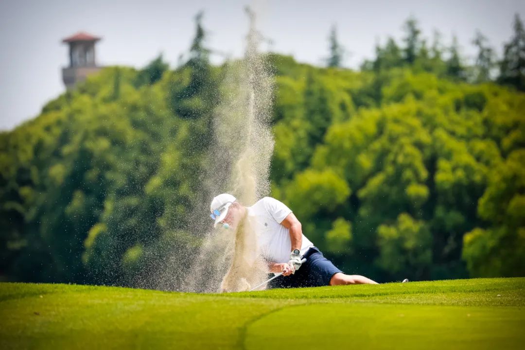 绿阴幽草正芳时2023公益巡回赛第三站重返上海佘山