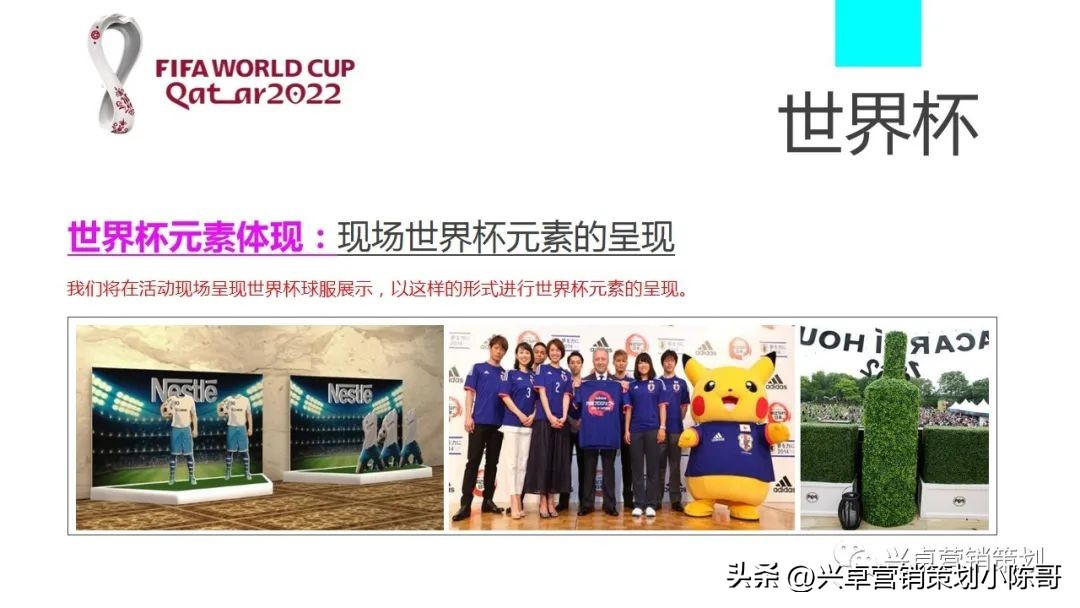 卡塔尔世界杯集装箱场馆,世界杯活动策划啤酒