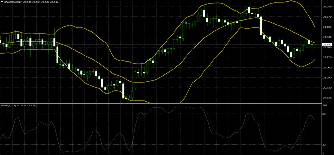 第一黄金今日金价,冯金生最新消息