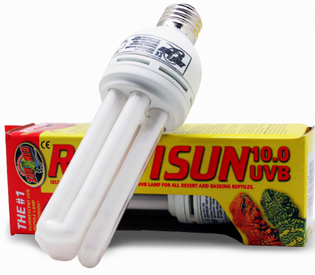 龟所有用品,新手养龟用品