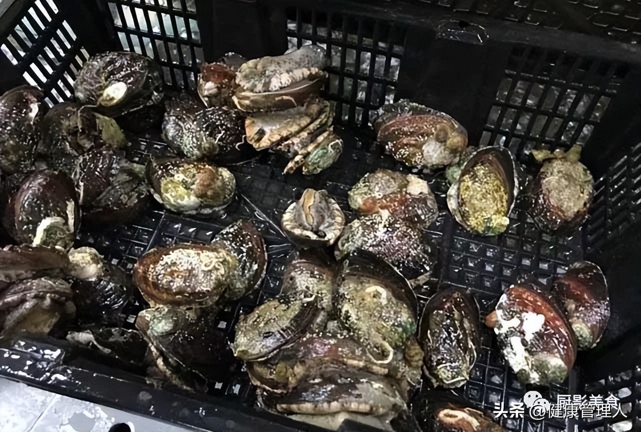 世界顶级海鲜食材,世界顶级的海鲜视频