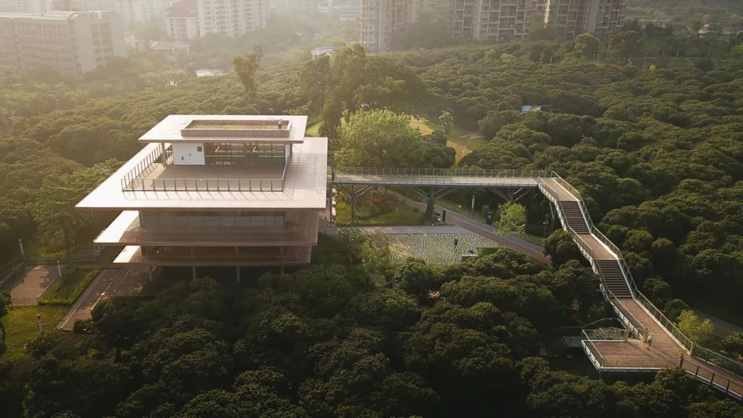 高校专项入围了怎么填志愿,填报志愿深圳高校等你来