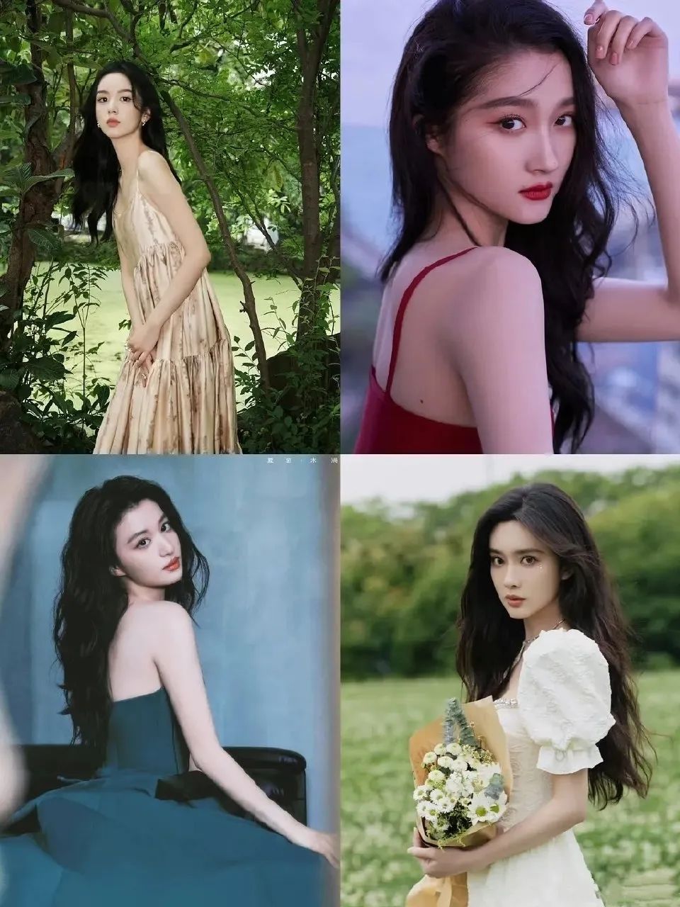 四系95花，各有各的美！