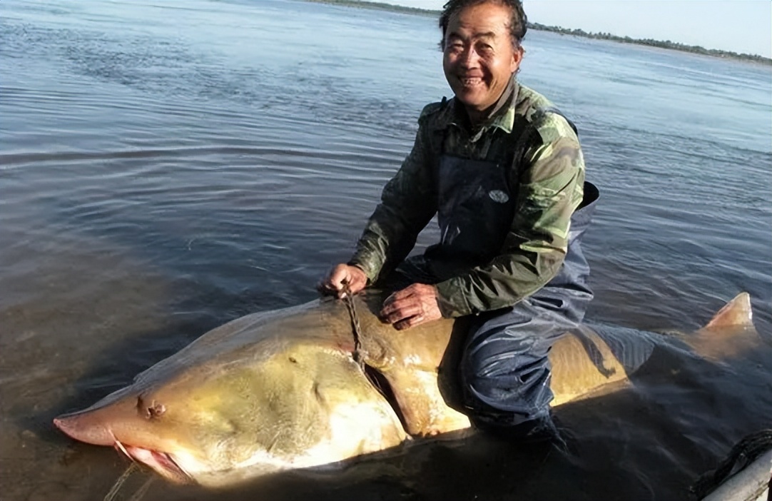 源于鲁菜，自成流派的东北饮食文化