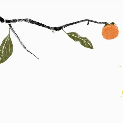 自制水果酵素的功效及作用,自制食用水果酵素的功效