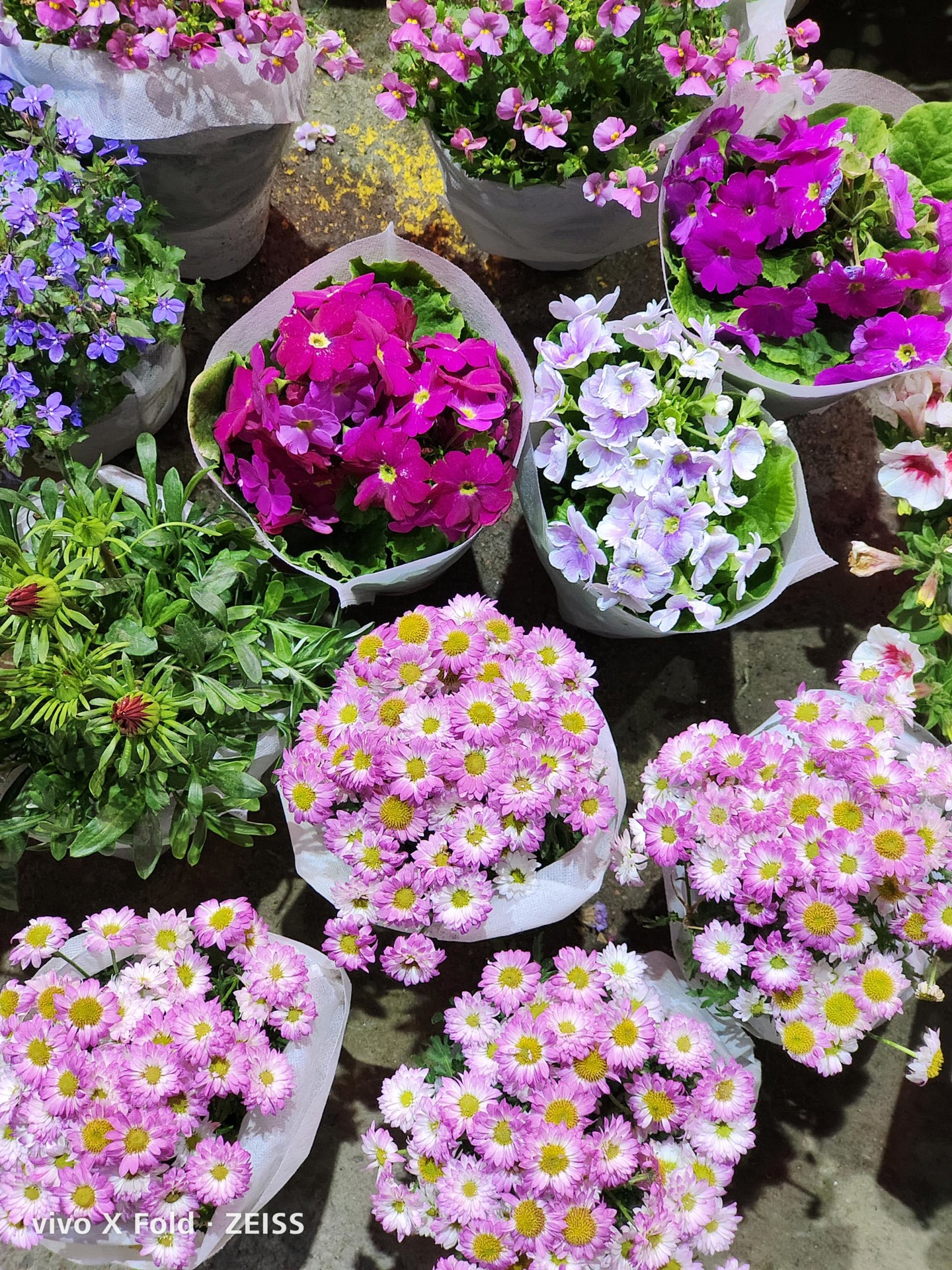 vivoxfold折叠屏评测,vivoxfold对比华为matex2