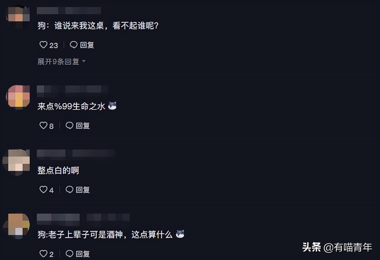 “谁再给猫喝酒，我扇烂ta的嘴巴！”