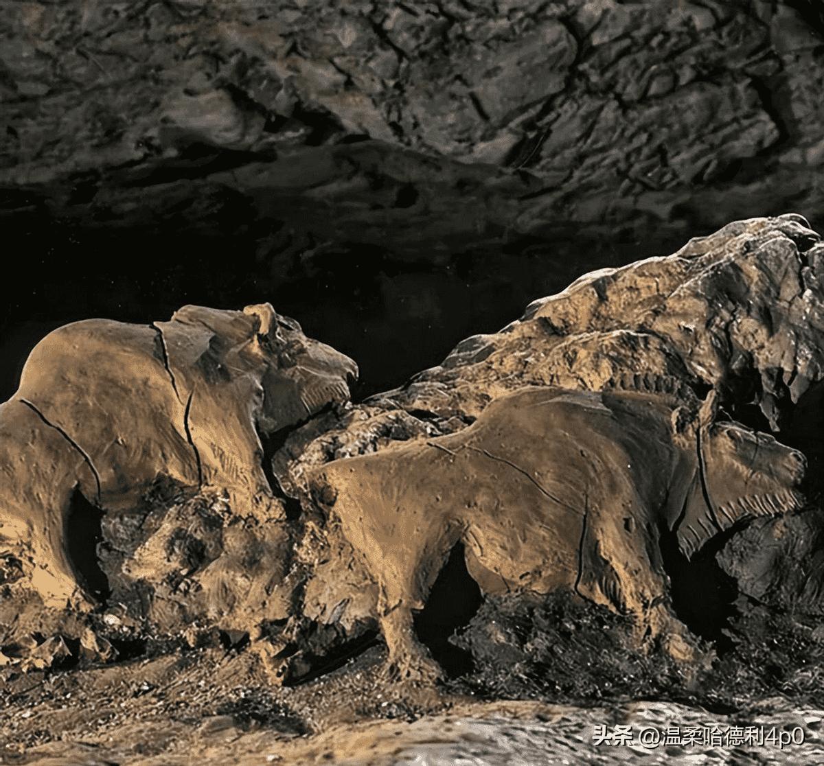 1945年美军摄影师,外国人拍摄延安时期老照片