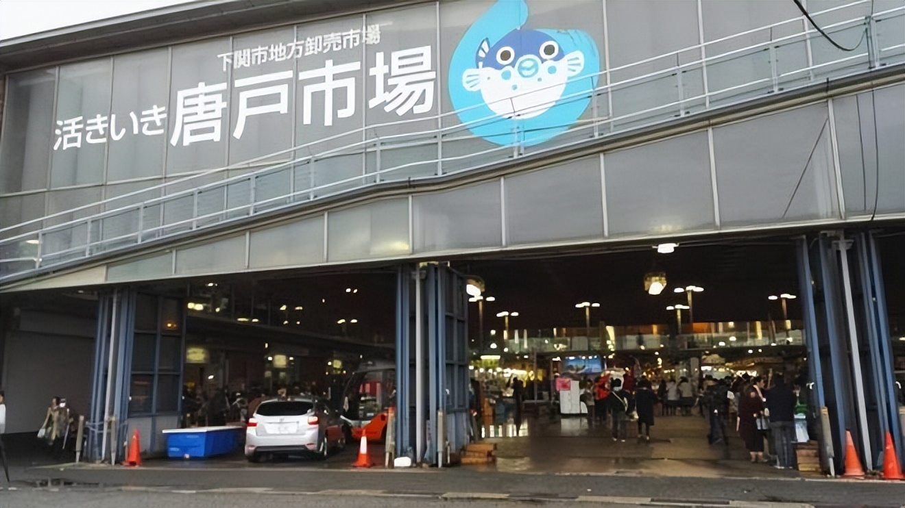 中国养殖河豚鱼,中国河豚鱼市场