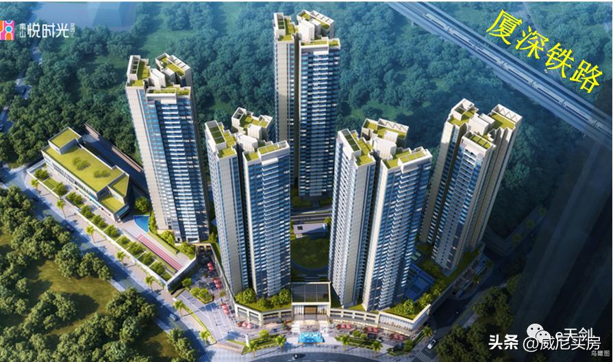 韭菜盘！南山悦时光，你在坪山呀