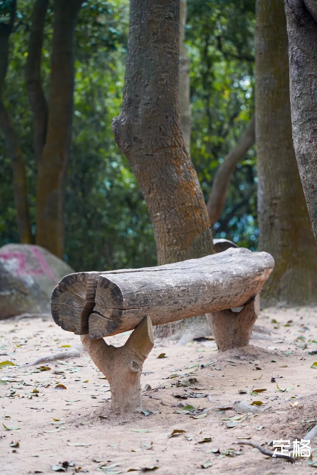 深圳10个小众打卡地,深圳十大免费打卡地