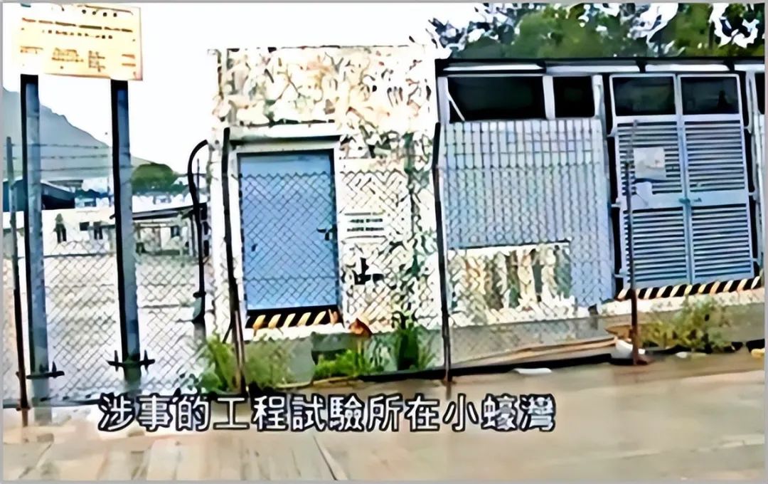 胆大包天真实案件,港珠澳大桥质检案