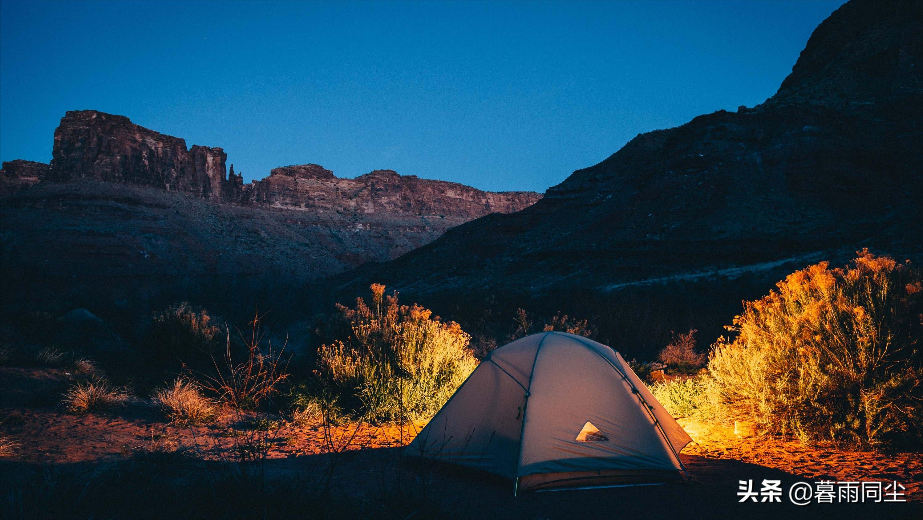 野外旅游怎么防蛇咬伤别人,野外防被蛇咬带什么药可保命