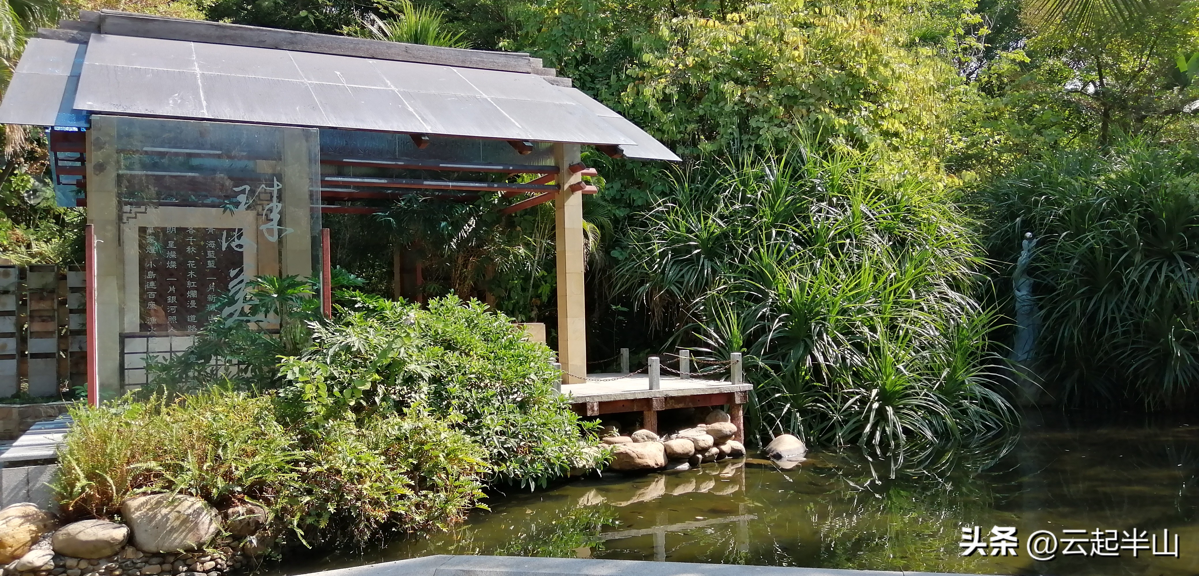 浅浅地玩、深深的圳