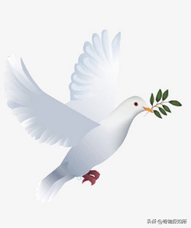 中国用俄罗斯近3倍的军费，养出排名全球第三的*队军**，差距在哪？