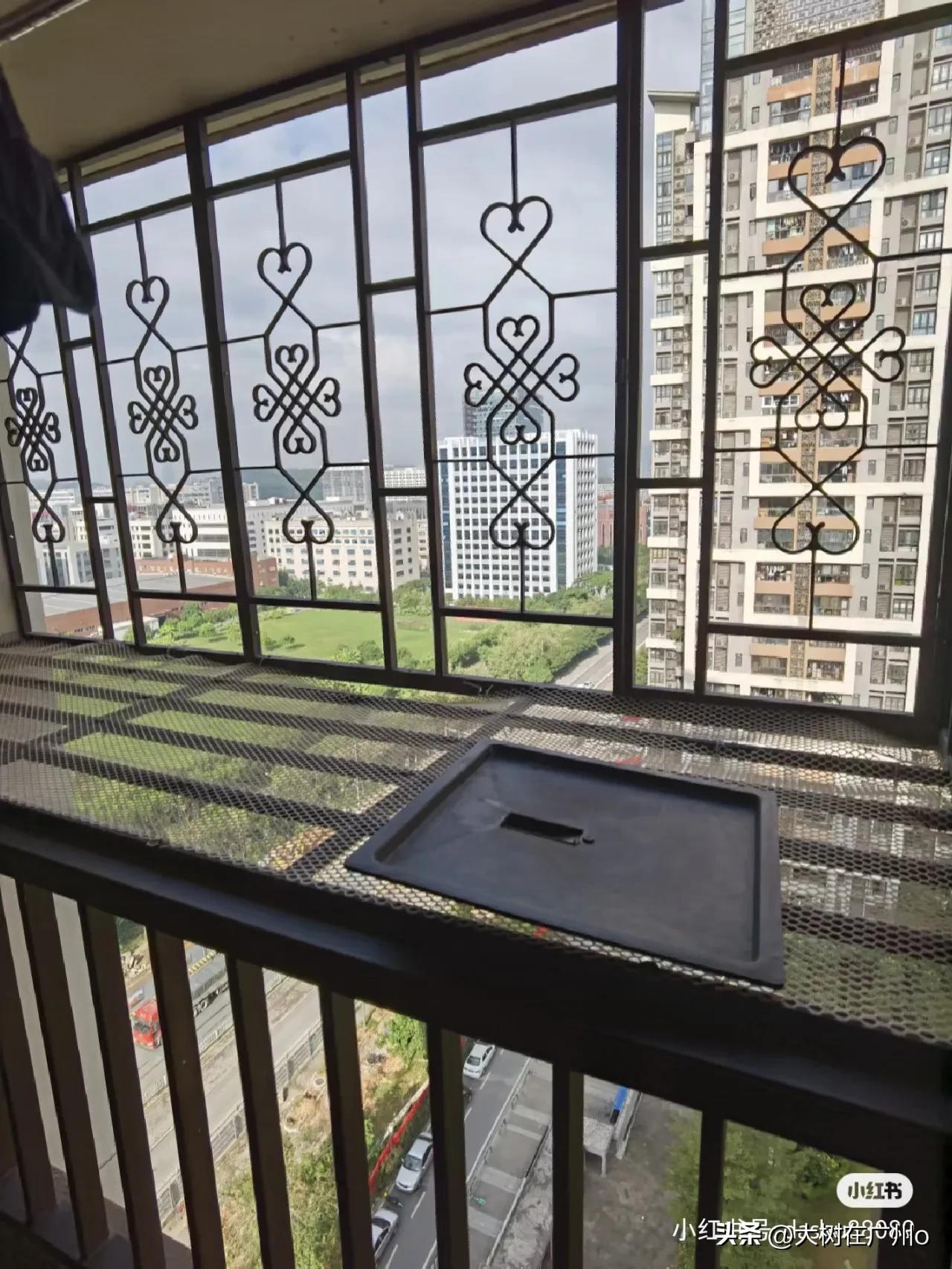 北向的房子能买吗,北向的房子好出租吗