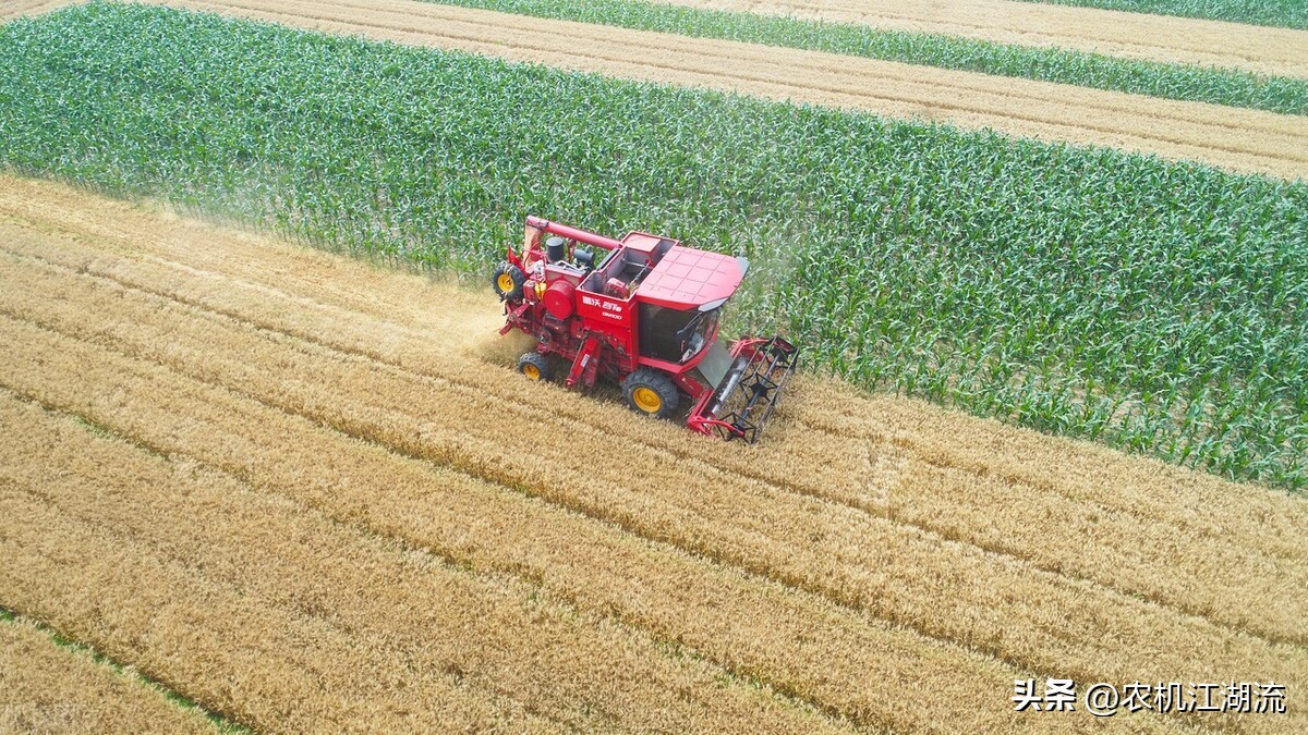 雷沃谷神最大的小麦收割机,雷沃谷神收割机收割小麦第一视角