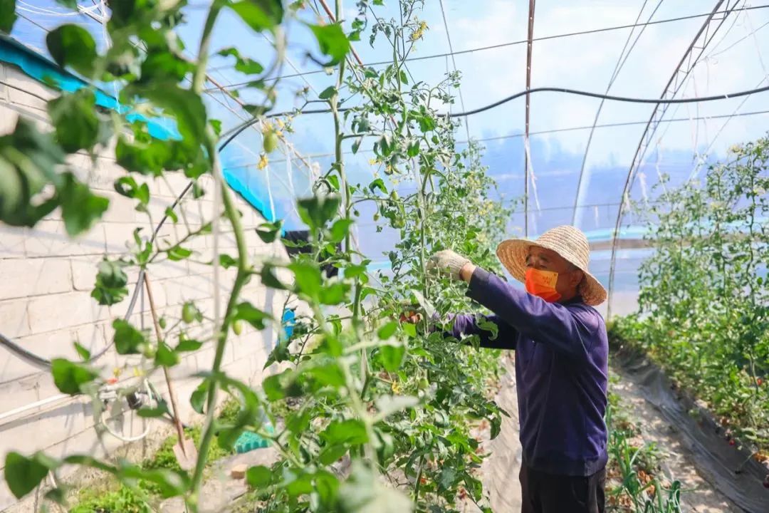 北京昌平免费露营地可以开车,昌平沙河露营地推荐烧烤