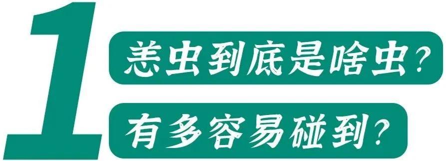 恙虫到底有多可怕？致死率极高