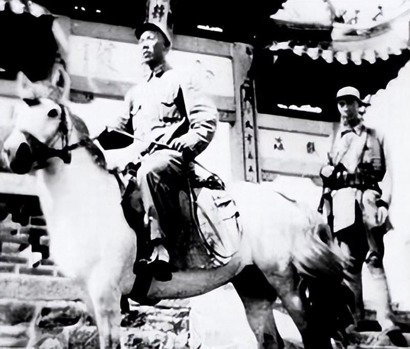 英雄刘志丹33岁牺牲，毛主席亲自为他题碑，唯一的女儿继承其遗志