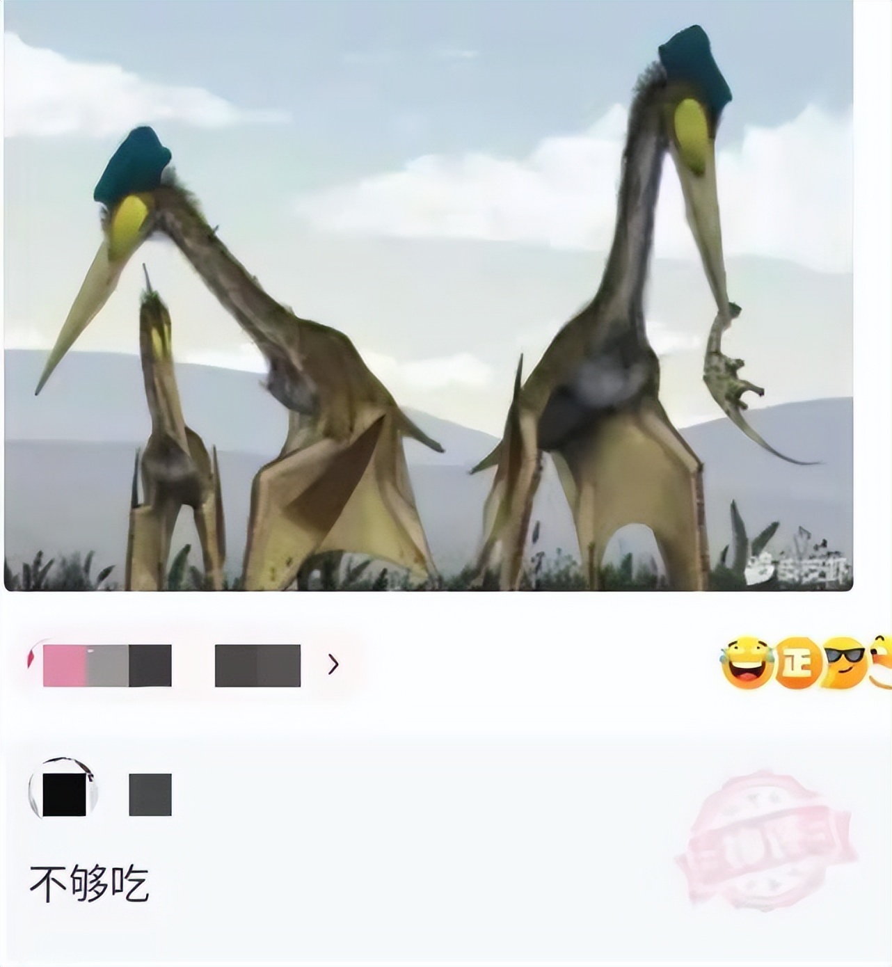 神回复：去世后，自己的QQ号，微信号怎么办