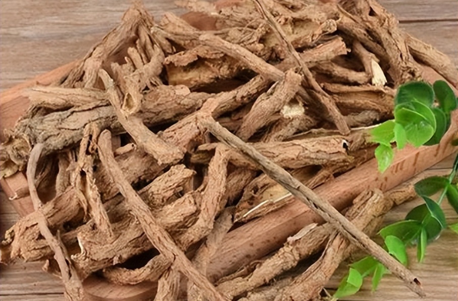 一味地骨皮泡水喝的功效,地骨皮的功效秘方