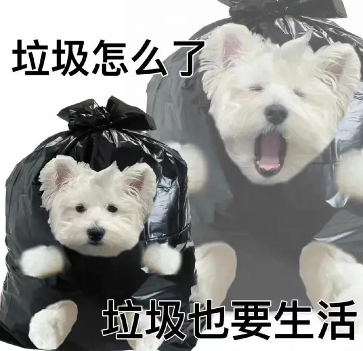 沙雕可爱文案朋友圈女,跨年发朋友圈文案沙雕