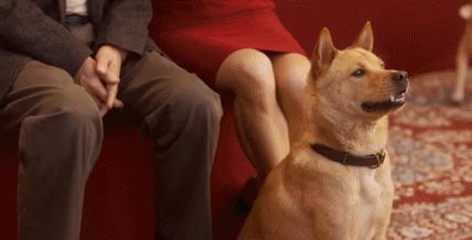 国产翻拍2019 (国内翻拍的电影吐槽)