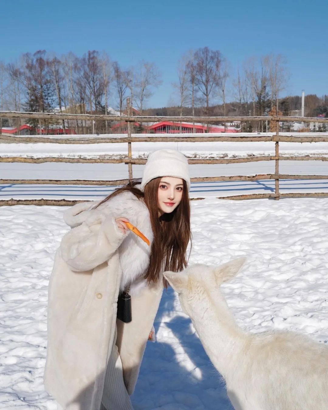 ins女神。如果不能一夜暴富，一夜抱你也好