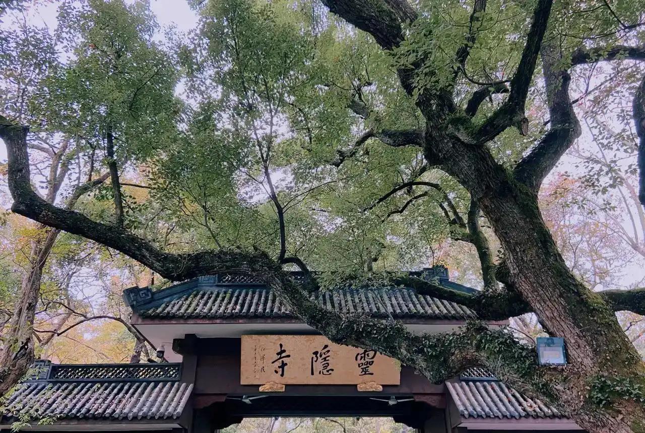 杭州周边赏秋好去处,杭州赏秋最佳攻略