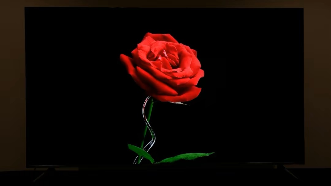 世界杯四大球星,世界杯四大巨星