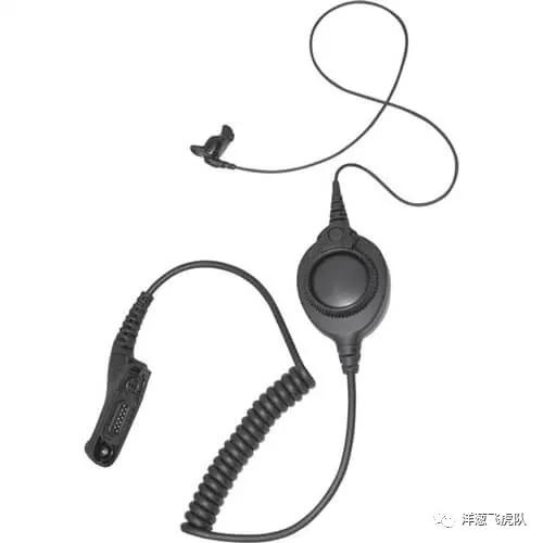 虎年说虎科普视频,虎年说虎运用了哪些说明方法