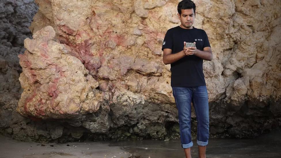 威廉王子为地球奋斗奖,威廉王子地球卫士奖