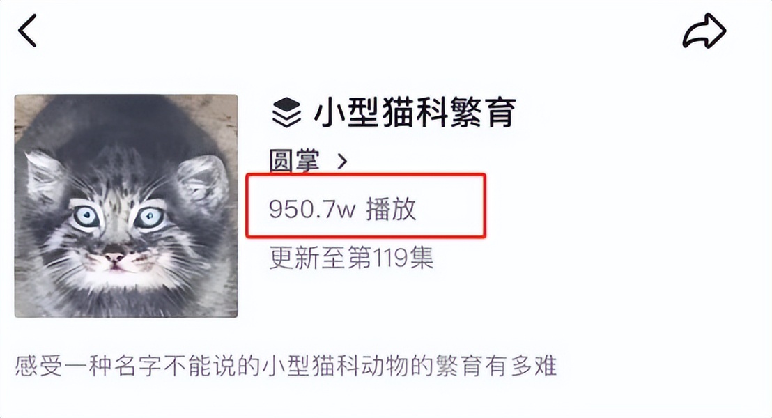 中国最大无人动物园,中国十大动物园红山动物园