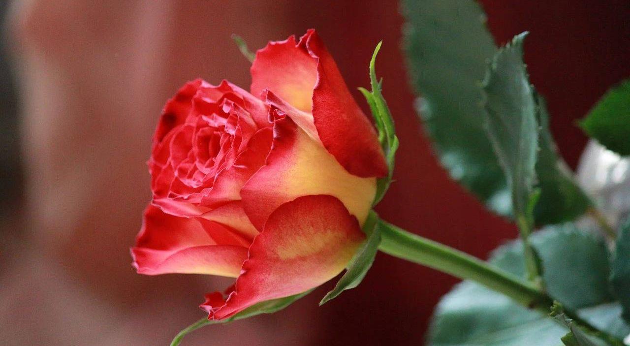 女人跟男人分居一年半什么原因,长期分居的女人最怕男人哪种行为