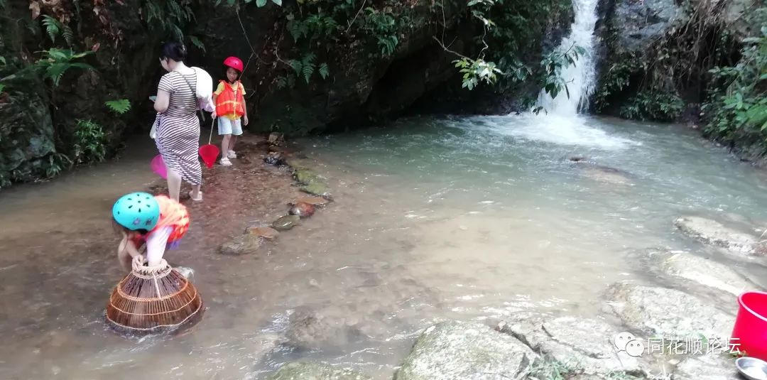 溯溪攀爬,溯溪徒步露营