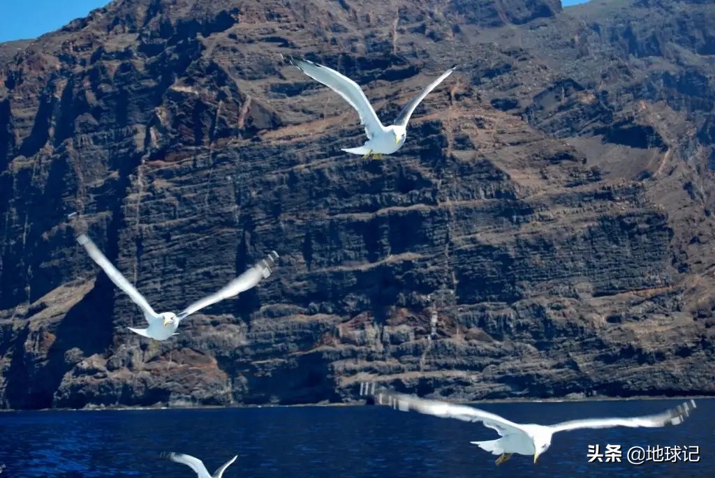 中国最大的渔岛,中国钓鱼岛在哪里