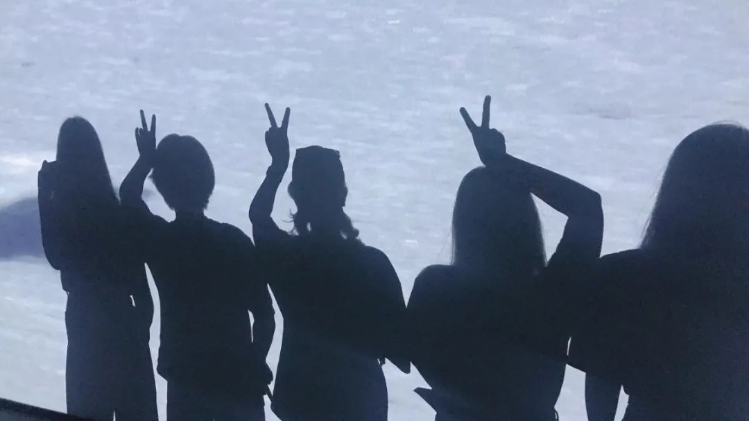 2023北京大学考研招生简章,京美考研机构