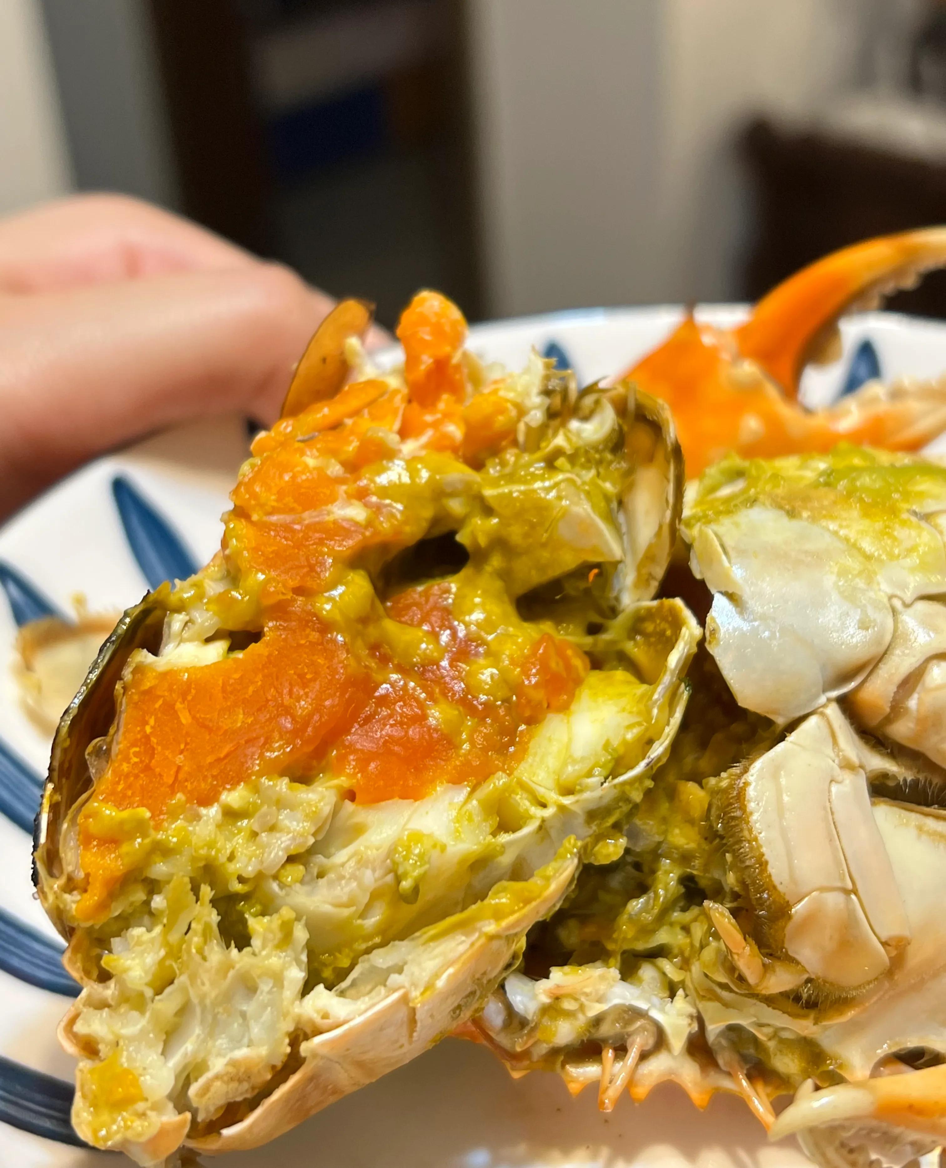 深圳本地的蟹,深圳黄油蟹产地