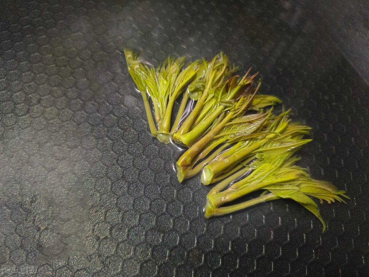 香椿生吃对人有什么危害,香椿吃不对增加致癌危险