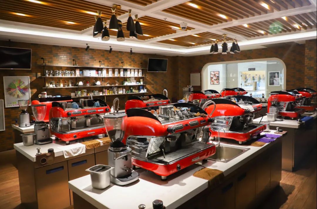 为什么不推荐去机构当老师,为什么说不能进培训班学技术