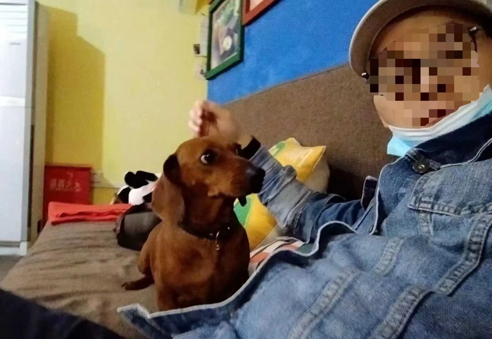 疫情里的大学校园：院长骑三轮车送饭，辣味零食成”硬通货“，上厕所要排号