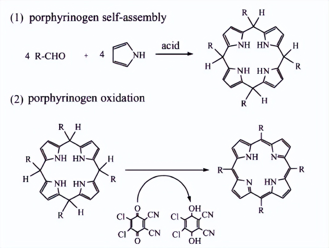 有机化学第二章讲解视频,有机化学第二章笔记